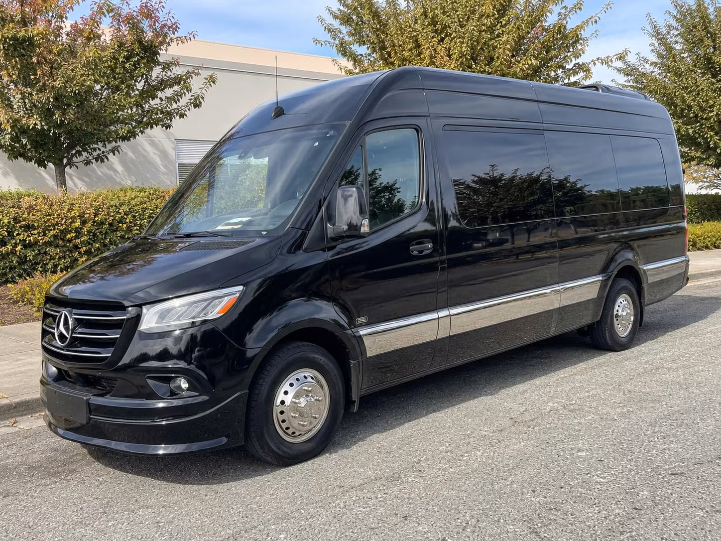 sprinter van with driver